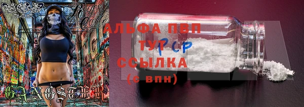 ECSTASY Нефтекумск
