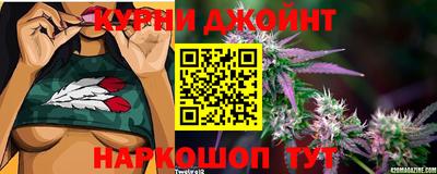 Альфа ПВП Бийск