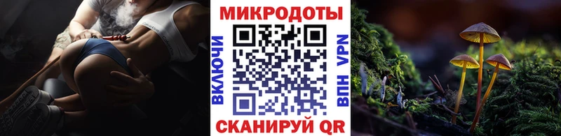 Галлюциногенные грибы Psilocybine cubensis  ОМГ ОМГ зеркало  Ивантеевка  наркота 