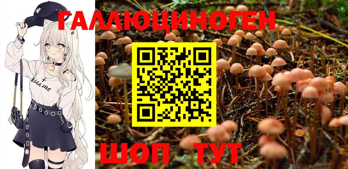 Ивантеевка  Галлюциногенные грибы Psilocybe  Вход с VPN 