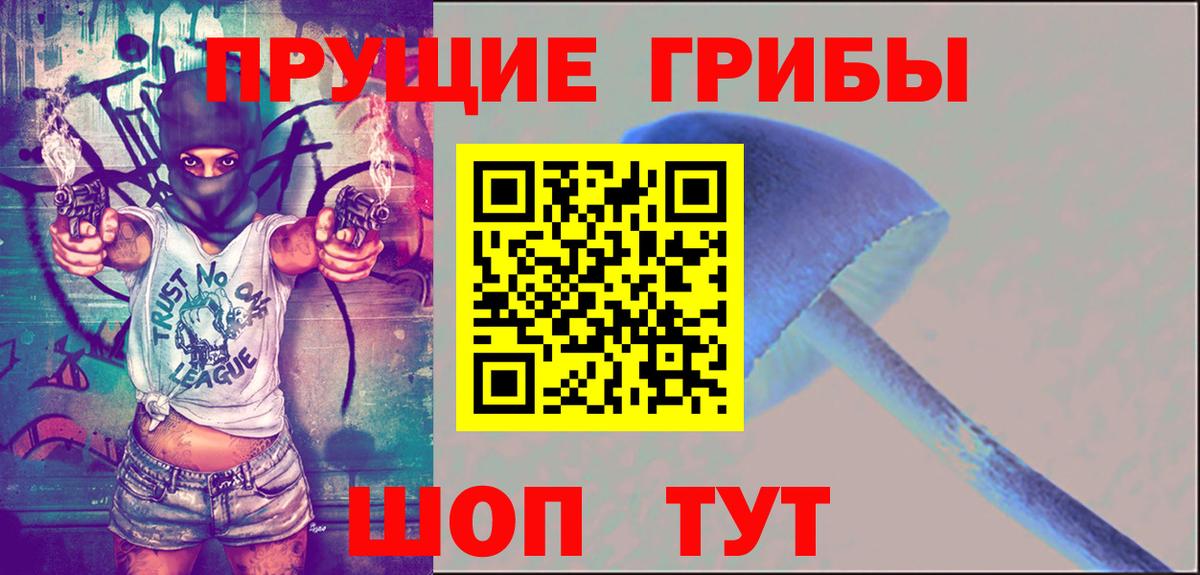 Псилоцибиновые грибы Psilocybine cubensis Ивантеевка