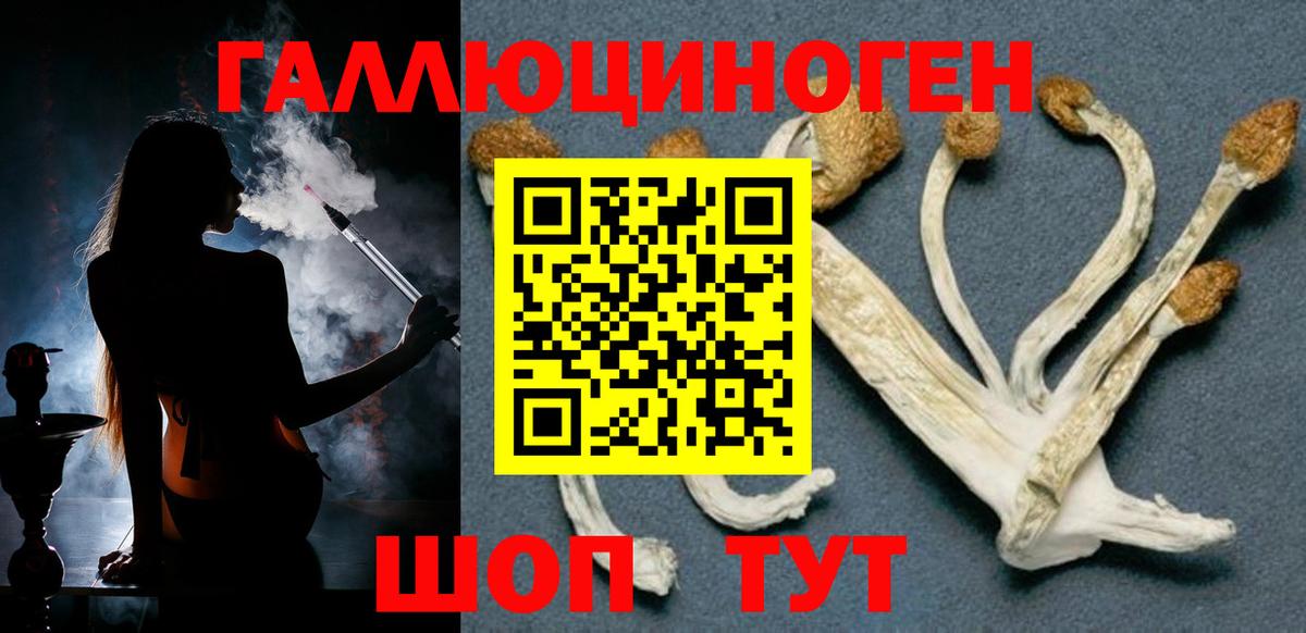 Галлюциногенные грибы Cubensis Ивантеевка